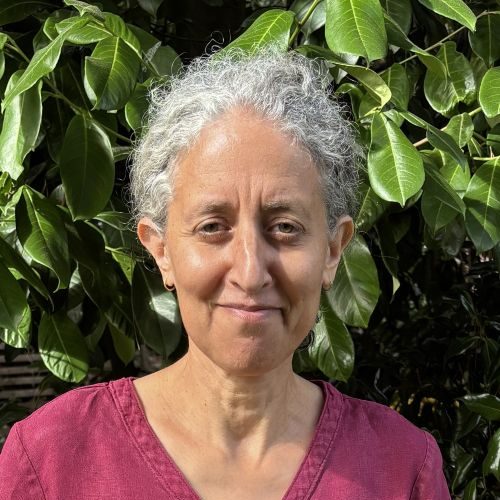A head and shoulders photograph of Kathryn Rathouse. A white female with grey curly hair, smiling at the camera and standing in front of a green hedge