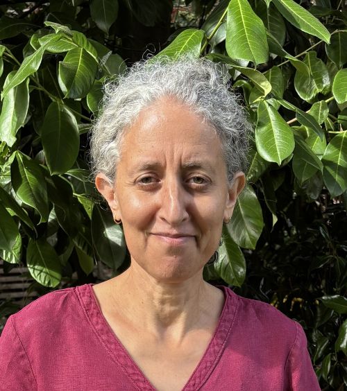 A head and shoulders photograph of Kathryn Rathouse. A white female with grey curly hair, smiling at the camera and standing in front of a green hedge